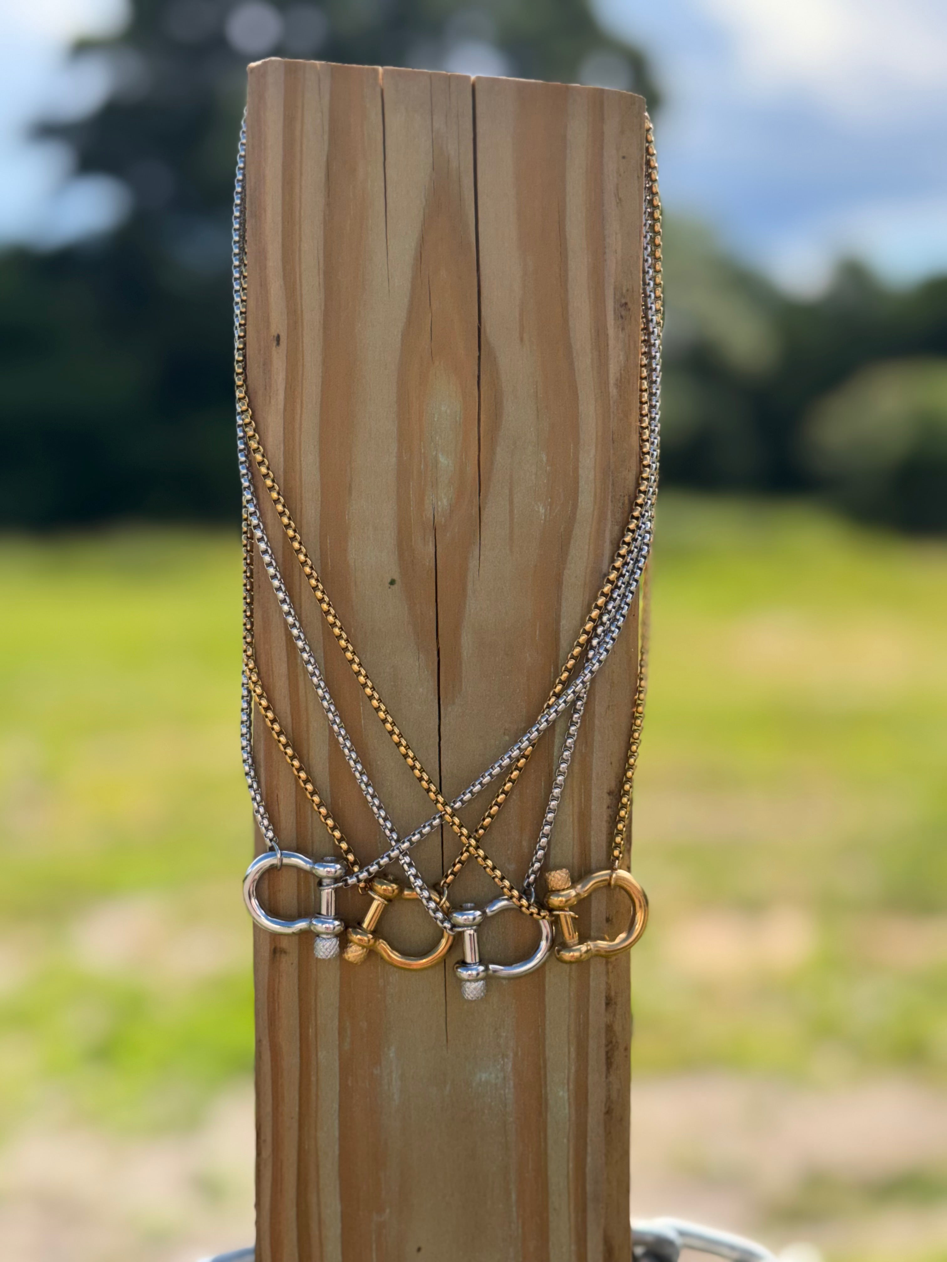 Saddle Up Horseshoe Necklace