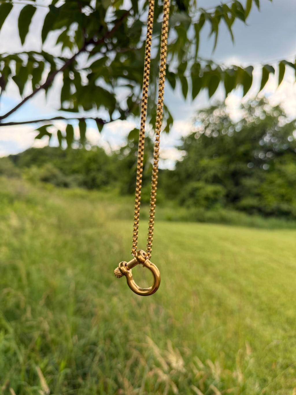 Saddle Up Horseshoe Necklace